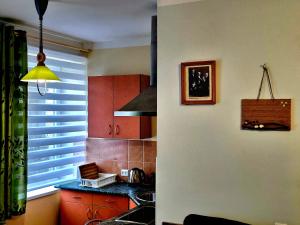 Ett kök eller pentry på Apartment Hotel Rubini