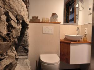La salle de bains est pourvue de toilettes blanches et d'un lavabo. dans l'établissement petite maison am Mühlenberg, à Monschau