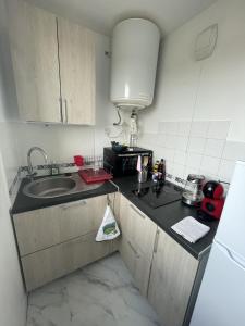 a small kitchen with a sink and a microwave at Studio Cosy Elancourt, Les terrasses d'Héricé in Élancourt