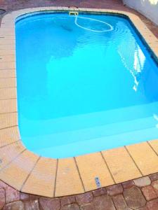 a large blue swimming pool on a brick floor at Royal Taste of Africa Apartments in Windhoek