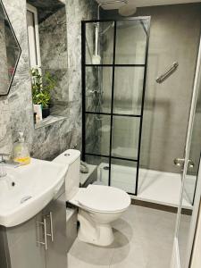 een badkamer met een toilet, een douche en een wastafel bij Natures Corner in Aldenham
