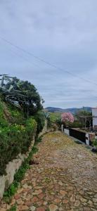 een geplaveide weg naar een huis bij Casa Rodrigues in Pinhão