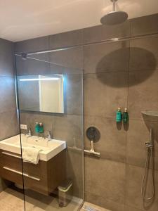 Koupelna v ubytování B&B Borgersteeg