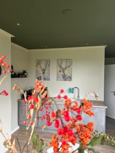 Fotografie z fotogalerie ubytování B&B Borgersteeg v destinaci Neede