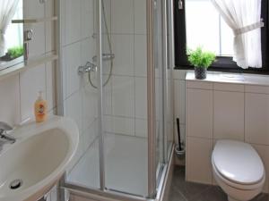 een badkamer met een douche, een toilet en een wastafel bij Ferienhaus Nr 136, Kategorie Komfort Plus, Feriendorf Hochbergle, Allgäu in Karlsebene