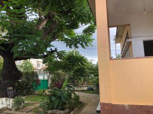 a tree in front of a house with a building at Casa de Ferias in São Tomé