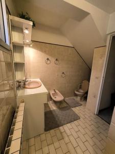 a bathroom with a sink and a toilet at Maison RNA spacieuse 5 chambres in Saint-Witz