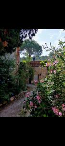 einen Garten mit rosa Blumen und einem Gebäude in der Unterkunft Grande maison en pierre dans la colline varoise in Vidauban
