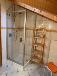 eine Dusche mit Glaskabine und Holzleiter in der Unterkunft Apartment Landhaus Bachwinkl in Reit im Winkl