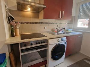 a kitchen with a stove and a sink and a dishwasher at Holiday Apartment near Triberg Waterfall in Triberg
