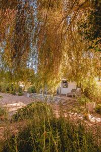 a tree hanging over a yard with a house at Le Phare in Les Portes