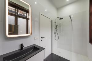bagno con lavandino e doccia di Fish Market Apartments a Bruxelles