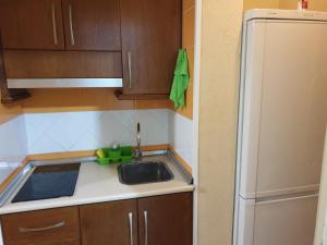 a small kitchen with a sink and a refrigerator at Acogedor Apartamento 214 fuengsun in Fuengirola