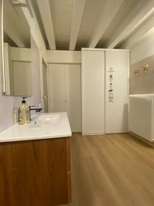 Habitación con baño con lavabo y ducha. en Residence19ilborgo, en Asolo