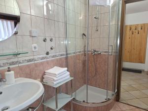 a bathroom with a shower and a sink at Apartments Mertelj in Kranjska Gora