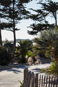 a wooden fence with palm trees in the background at Le Phare in Les Portes