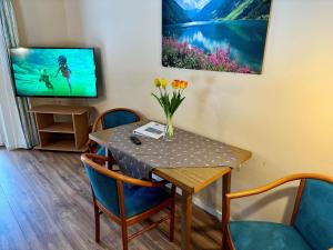 a dining room with a table and a tv at Moderne Ferienwohnung im Familienparadies MoNi, FeWo 12 in Thiersee