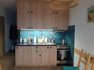 a kitchen with wooden cabinets and a sink and a stove at Apartament Gaja in Poddąbie