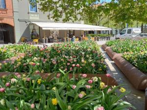 カウナスにあるTiny center G studioの建物前の花の庭園