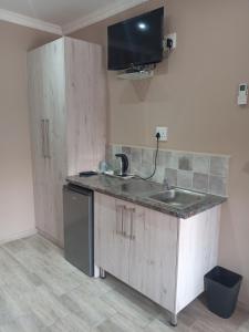a kitchen with a sink and a dishwasher at AMANI PALMS GUEST HOUSE in Klerksdorp