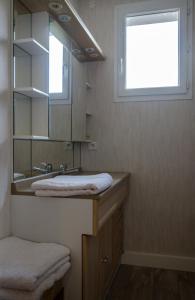 ein Bad mit einem Waschbecken, einem Spiegel und einem Fenster in der Unterkunft Terre du Vivant in Cluny