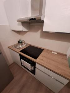 uma pequena cozinha com um lavatório e um balcão em Borgo Guazzo 24 em Parma
