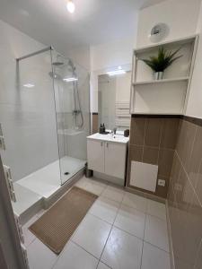 a bathroom with a shower and a sink at Appartement Dammarie-les-Lys in Dammarie-lès-Lys