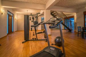 a room with a gym with a treadmill at Castelli Villa in Lagópodhon