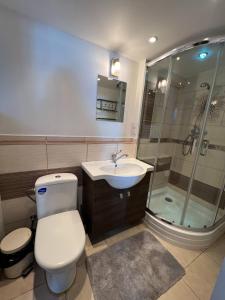 uma casa de banho com um WC, um lavatório e um chuveiro em Skalvija Apartment Dreverna em Dreverna
