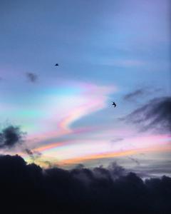 two birds flying in the sky with a rainbow at Hideaway Pod near Loch Ness for a tranquil retreat in Lewiston