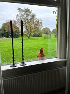 Hosté ubytování B&B Borgersteeg