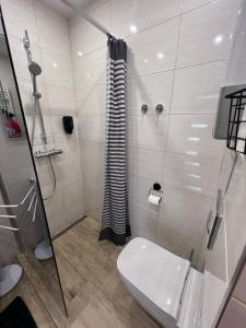 uma casa de banho com um chuveiro, um WC e um lavatório. em Apartman New York em Podhájska