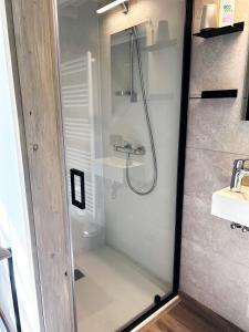 una ducha con una puerta de cristal junto a un lavabo en B&B Le Nid d'Hirondelle en Houffalize