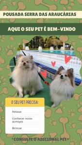 um folheto para uma exposição de cães com dois cães em Pousada Serra das Araucárias em São Roque