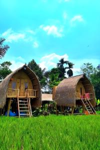 two huts in a field with grass at Lumbung Langit Bali house & hostel in Tampaksiring