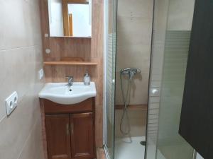 een badkamer met een wastafel en een douche bij Acogedor Apartamento 38 verdi7 in Torremolinos