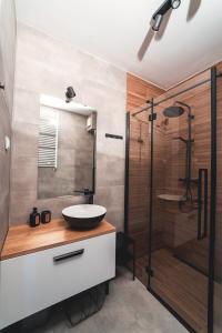 uma casa de banho com um lavatório e um chuveiro em Apartament16 Źródlana MountainAparts em Świeradów-Zdrój