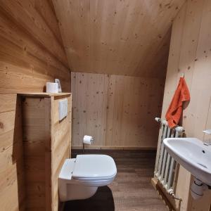 uma casa de banho com um WC e um lavatório em chalet des cyclistes em La Bresse
