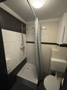 La petite salle de bains est pourvue de toilettes et d'un lavabo. dans l'établissement MK Apartments Bremen 1, à Brême