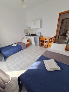 Kuchyň nebo kuchyňský kout v ubytování VILLA VRACHOS Preveza