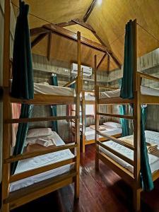 a group of bunk beds in a room at El Lobo Hostel in General Luna