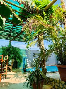 Elle offre une vue sur une terrasse agrémentée de plantes et d'une piscine. dans l'établissement Pousada Casa do Bruno, à Canoa Quebrada