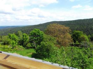 - une vue sur les bois depuis la terrasse d'une maison dans l'établissement gîte La Belle Vue, à La Hoube