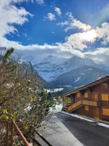 domek narciarski z widokiem na góry w obiekcie Beautiful appartment in Les Diablerets w mieście Les Diablerets