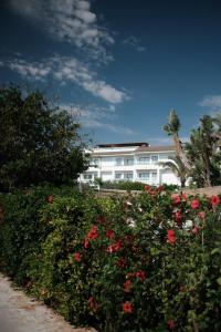 un edificio blanco con flores rojas delante de él en Prinsotel La Dorada - 4* Sup, en Playa de Muro