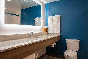 Carneys Point的住宿－新澤西卡尼斯波恩特收費公路1號出口智選假日酒店，一间带水槽、卫生间和镜子的浴室