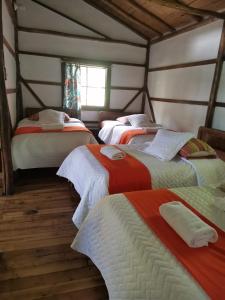 Un grupo de 4 camas en una habitación en Cabañas Bambu Mindo, en Mindo