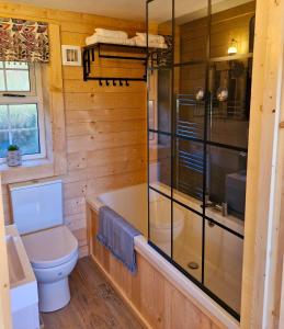 a bathroom with a toilet and a glass shower at Cozies Cabin in Billy +21 photos