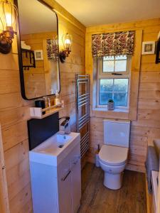 a bathroom with a toilet and a sink and a mirror at Cozies Cabin in Billy