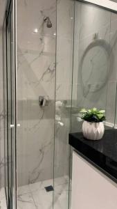 La salle de bains est pourvue d'une douche en verre avec une plante sur un comptoir. dans l'établissement monoambiente completo y central, à Santa Cruz de la Sierra